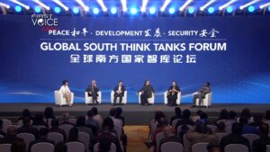 Read more about the article What’s shaping the voice of the Global South?