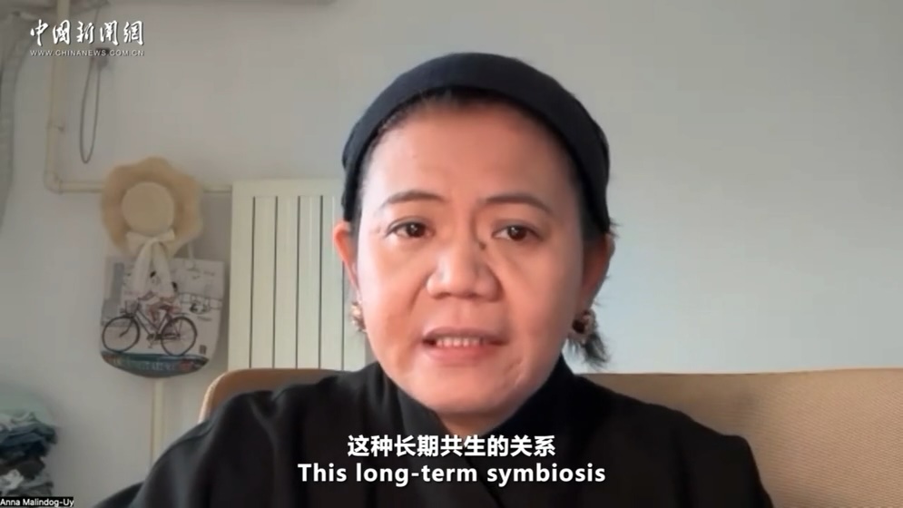 Read more about the article Insights | Philippine expert: ASEAN-China ties resilient beyond geopolitical tensions